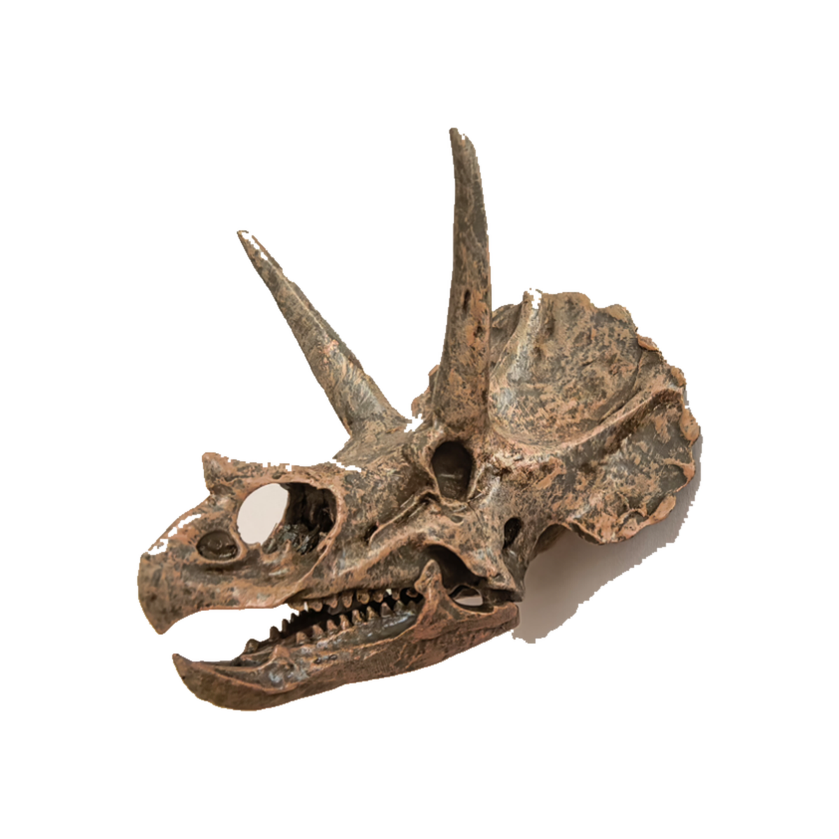 Resin Fridge Magnets - Triceratops