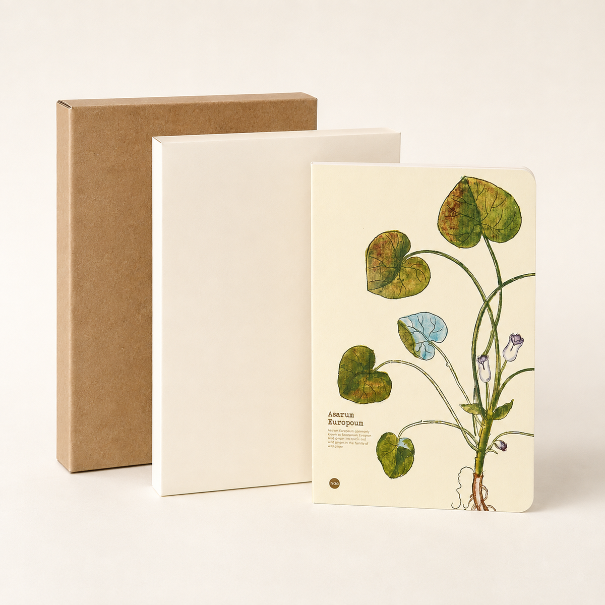 Asarum Europaeum illustrated herb journal packaging image