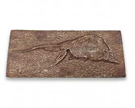 Dinosaur Fossil Fridge Magnet - 4.67 x 1.89 in baseline product image