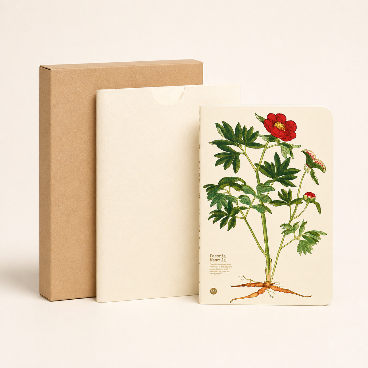 Paeonia Mascula illustrated herb journal packaging image
