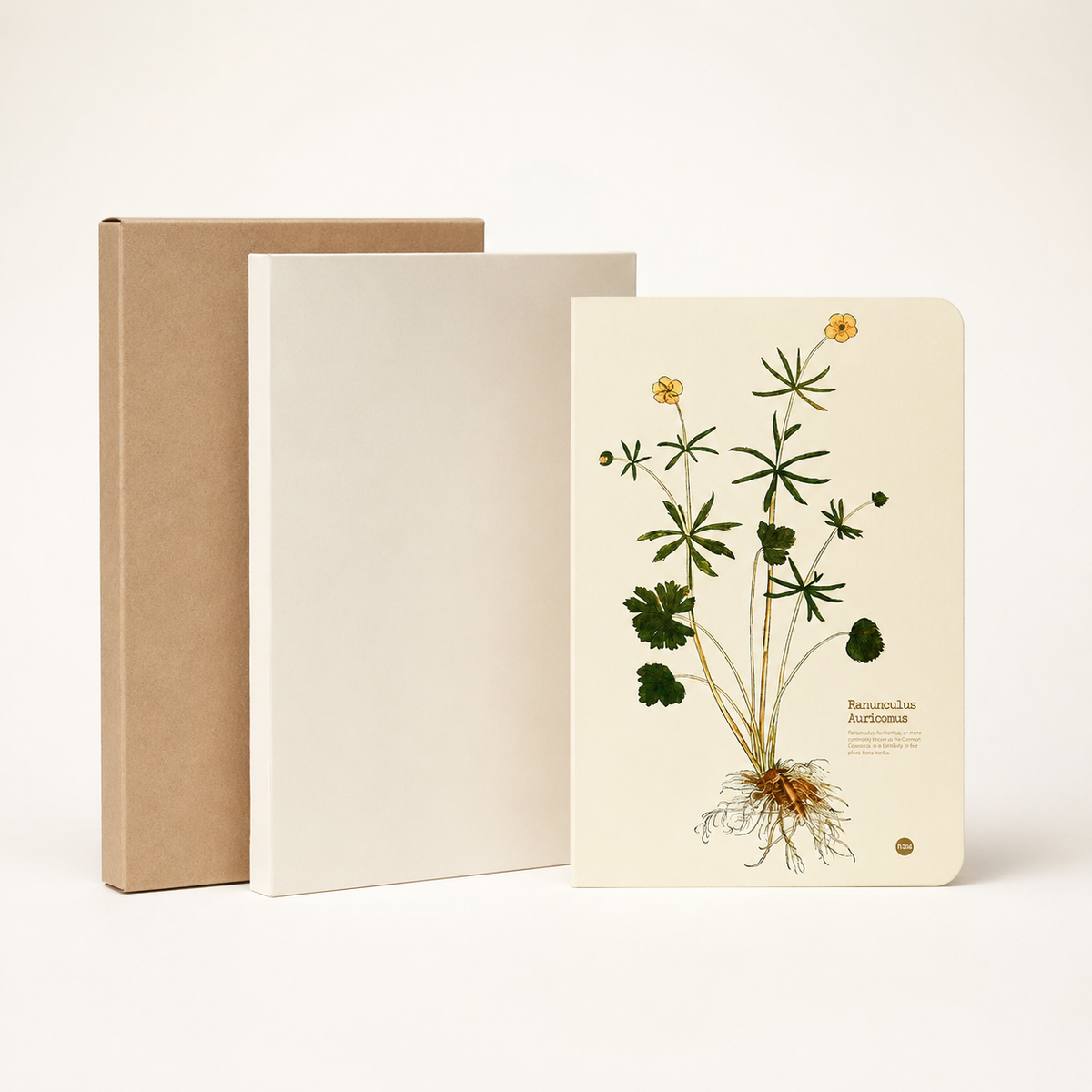 Ranunculus Auricomus illustrated herb journal packaging image