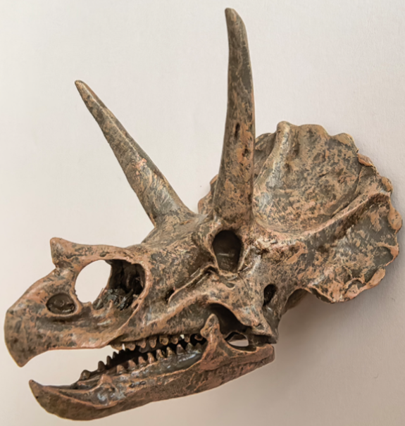 Resin Fridge Magnets - Triceratops baseline product image
