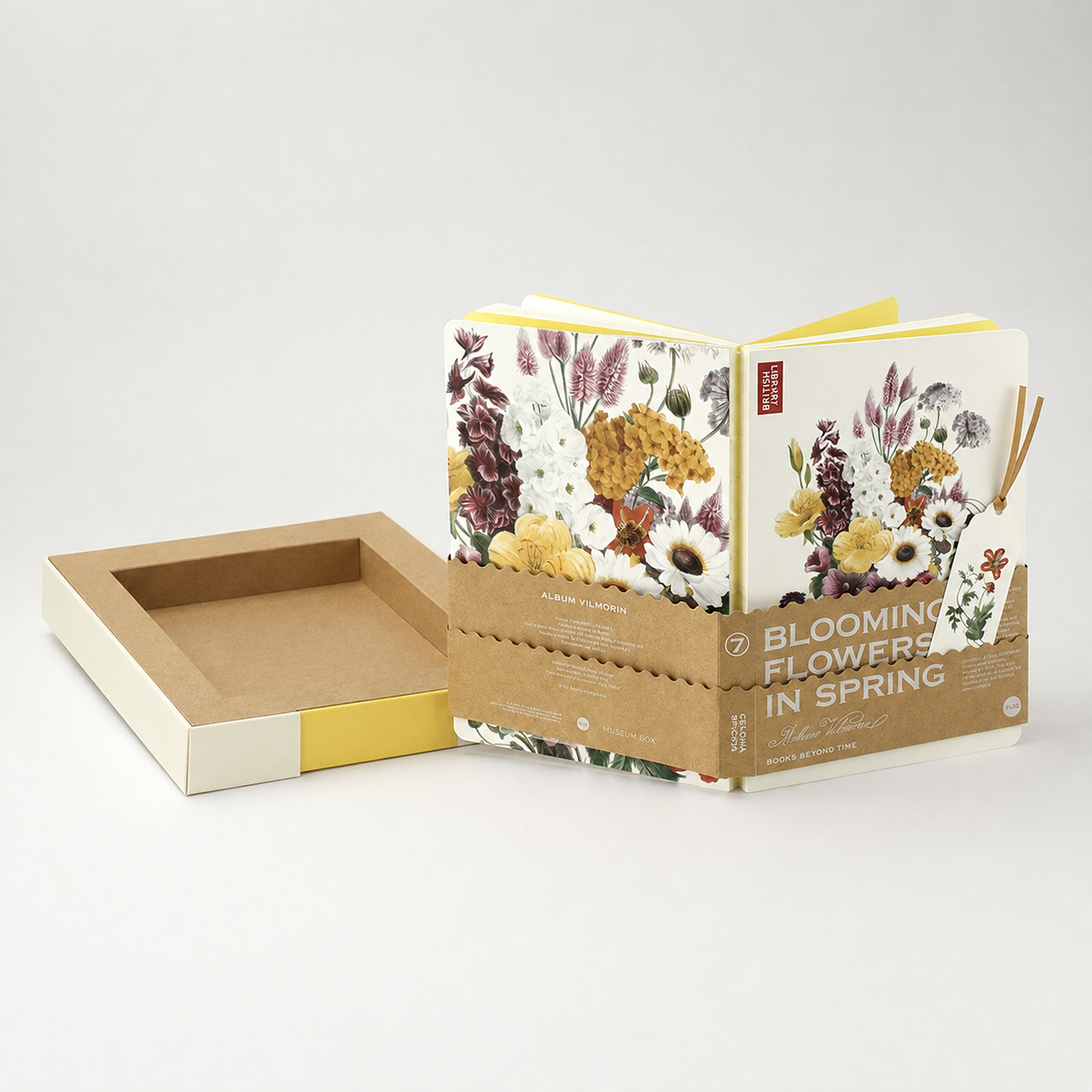 Wheat Celosia (Celeosia Spicata) - packaging