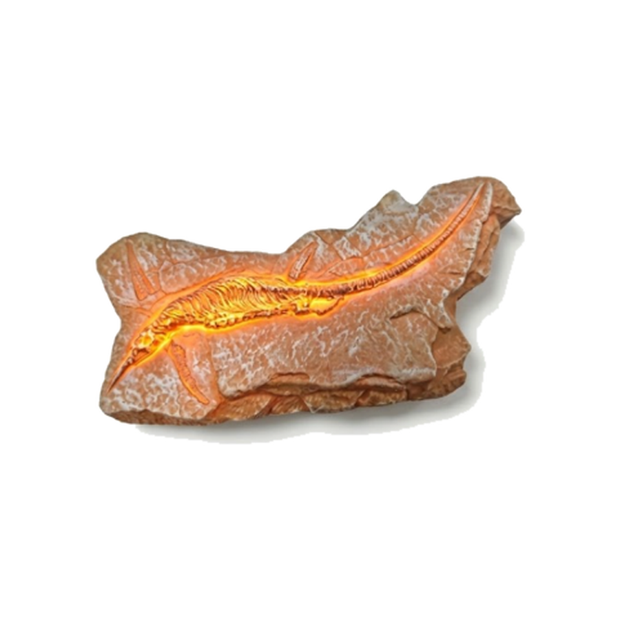 LED Dinosaur Fossil Fridge Magnet - 4.51 x 2.18 in