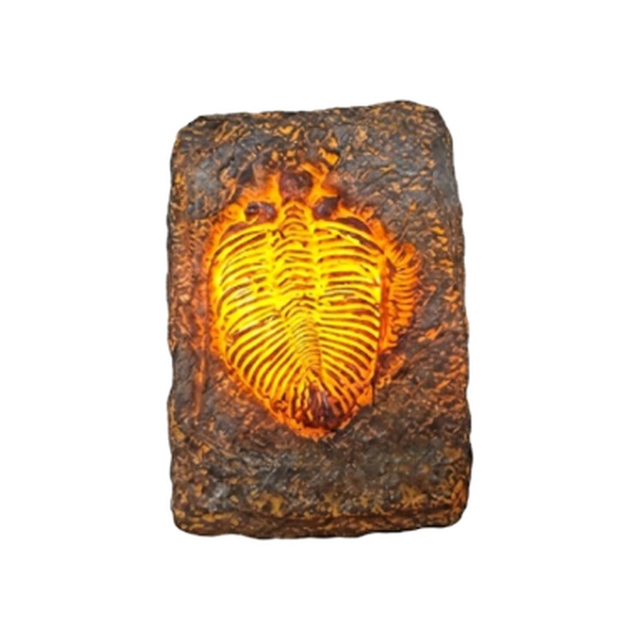 LED Dinosaur Fossil Fridge Magnet - 2.75 x 1.92 in