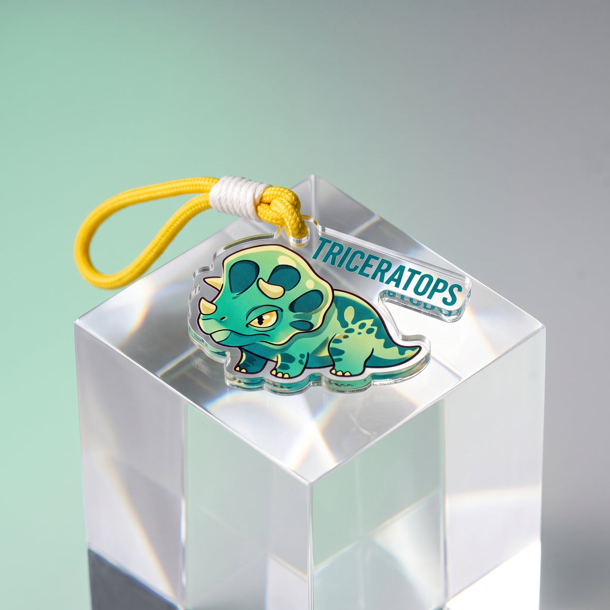 Dinosaur Acrylic Keychain — Triceratops lifestyle 03