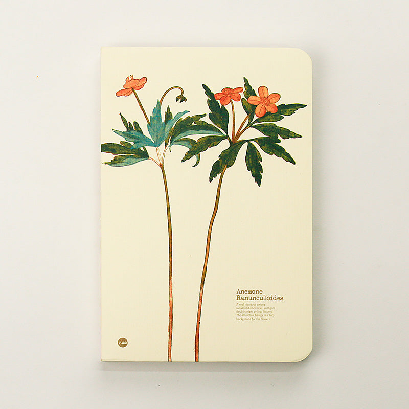 Anemone Ranunculoides illustrated herb journal baseline product image