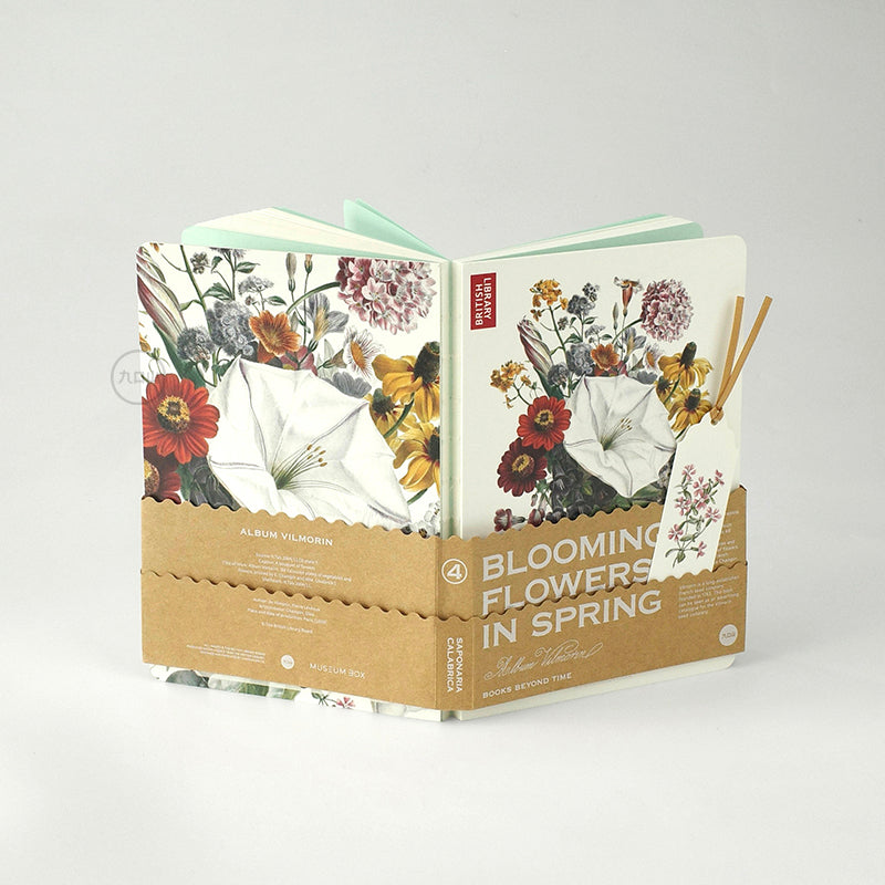 Calabrian Soapwort notebook - baseline