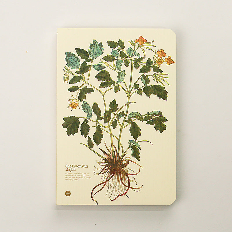 Chelidonium Majus illustrated herb journal baseline product image