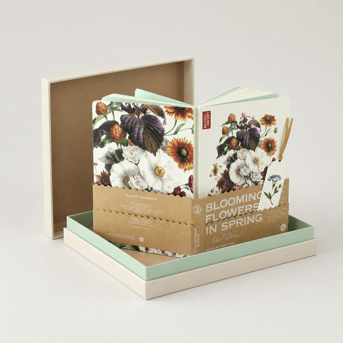 Chilean Bellflower (Nolana Antriplicifolia) - packaging
