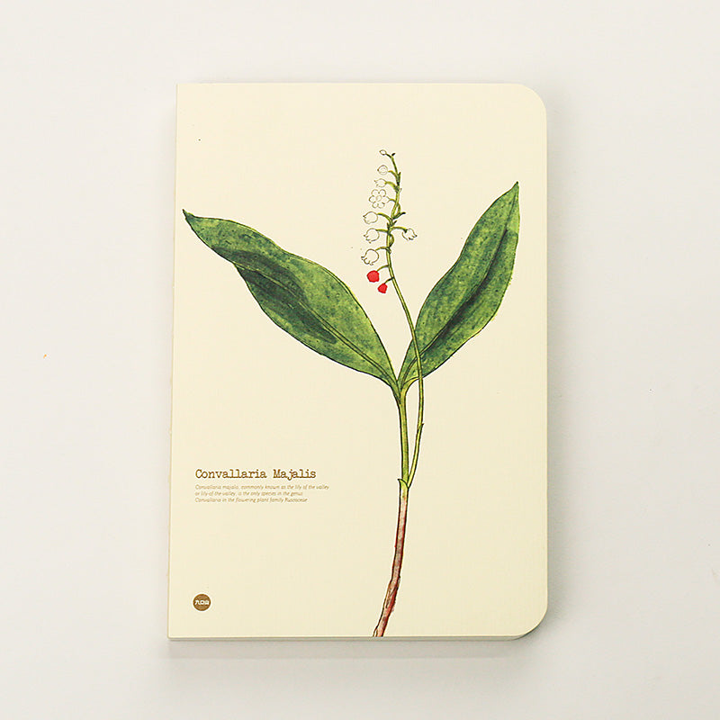 Convallaria Majalis illustrated herb journal baseline product image