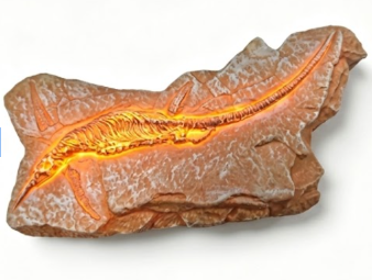 LED Dinosaur Fossil Fridge Magnet - 4.51 x 2.18 in baseline product image