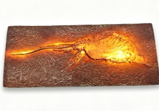 LED Dinosaur Fossil Fridge Magnet - 4.67 x 1.89 in baseline product image