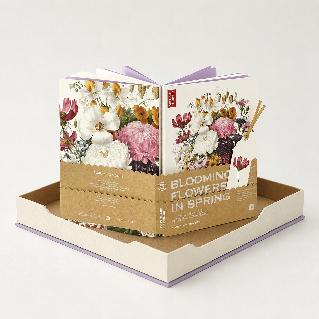 Mexican Aster (Cosmos Bipinnatus) - packaging