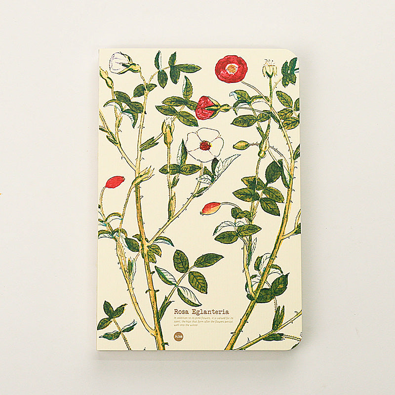 Rosa Eglanteria illustrated herb journal baseline product image