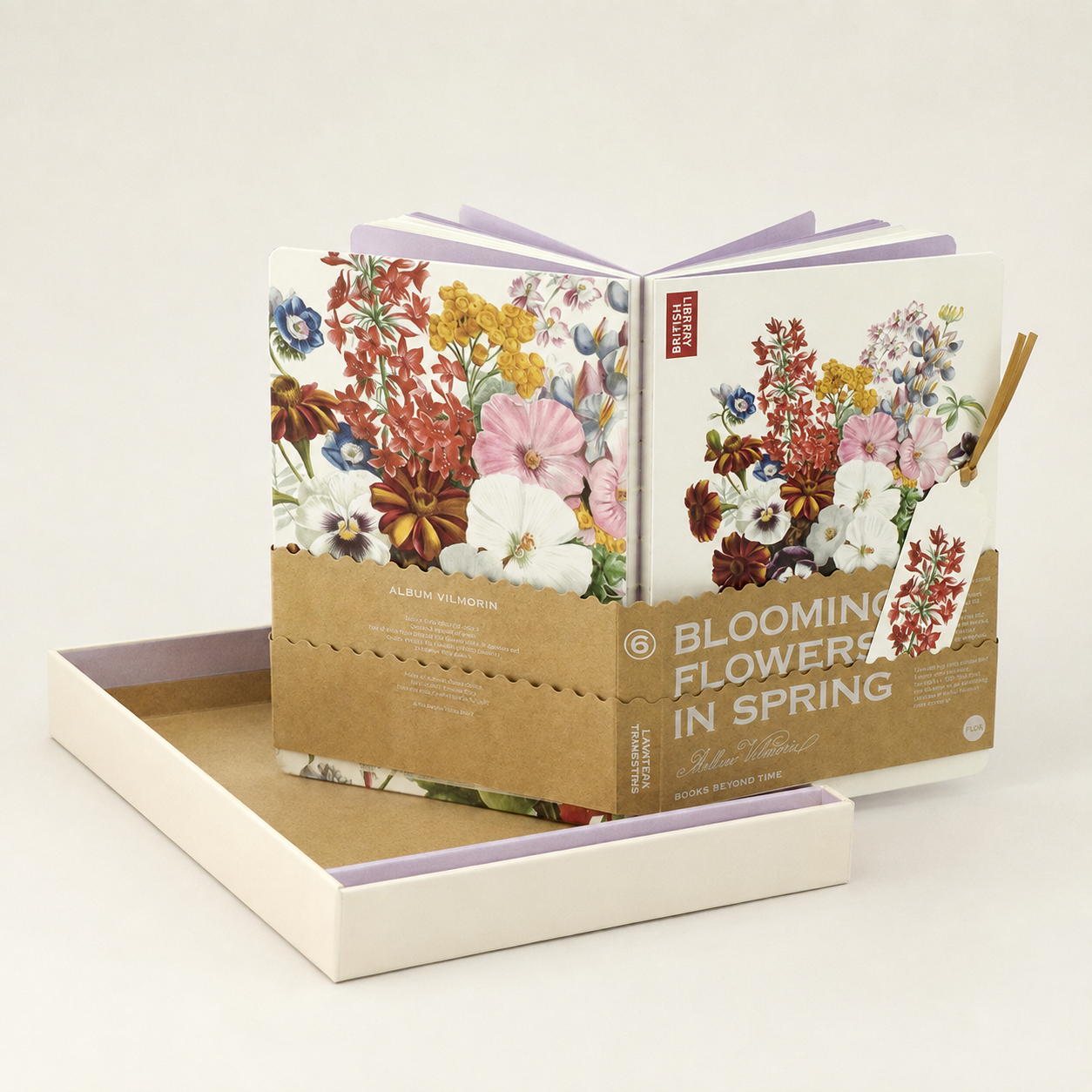 Rose Mallow (Lavatera Trimestris) - packaging