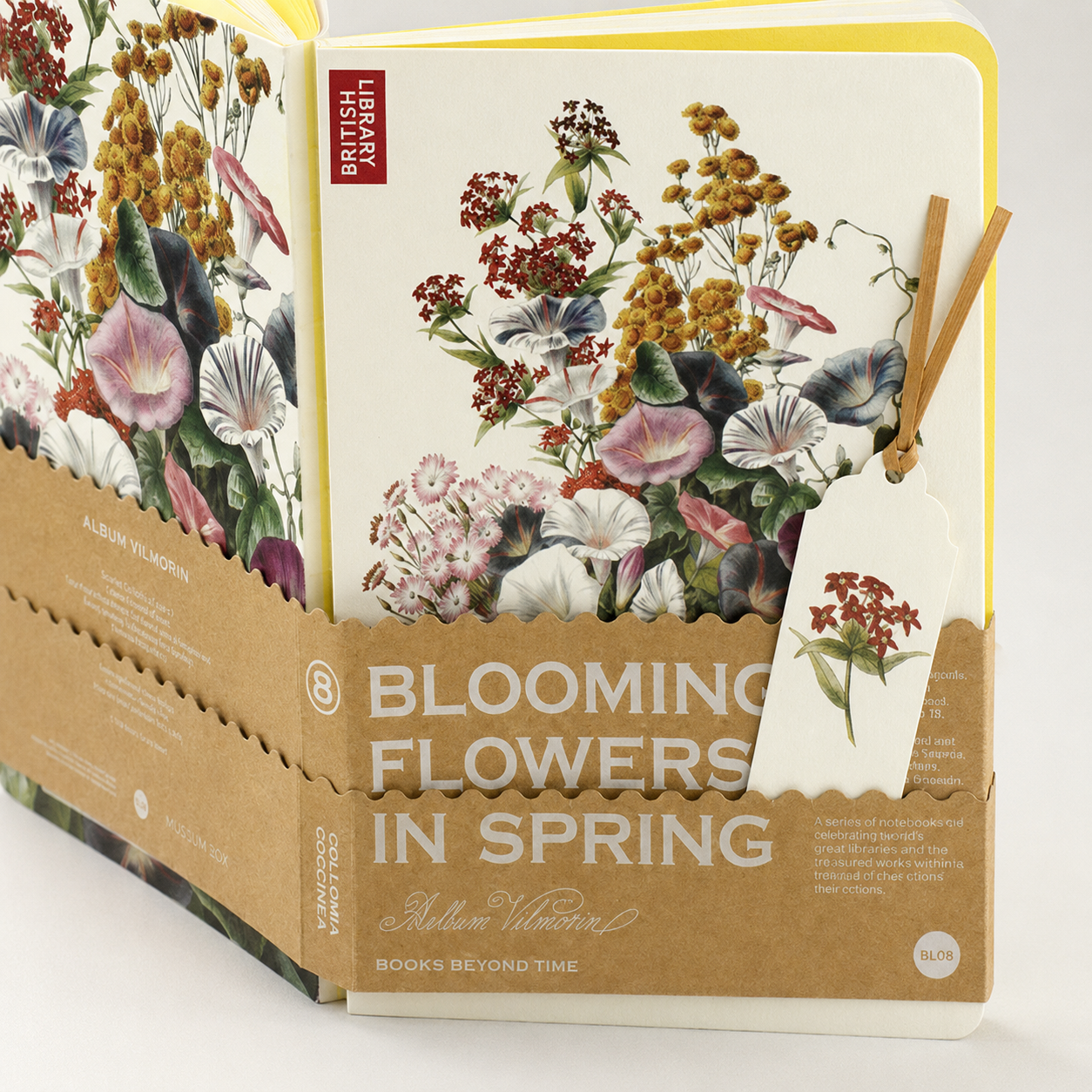 Scarlet Collomia (Collomia Coccinea) - lifestyle03