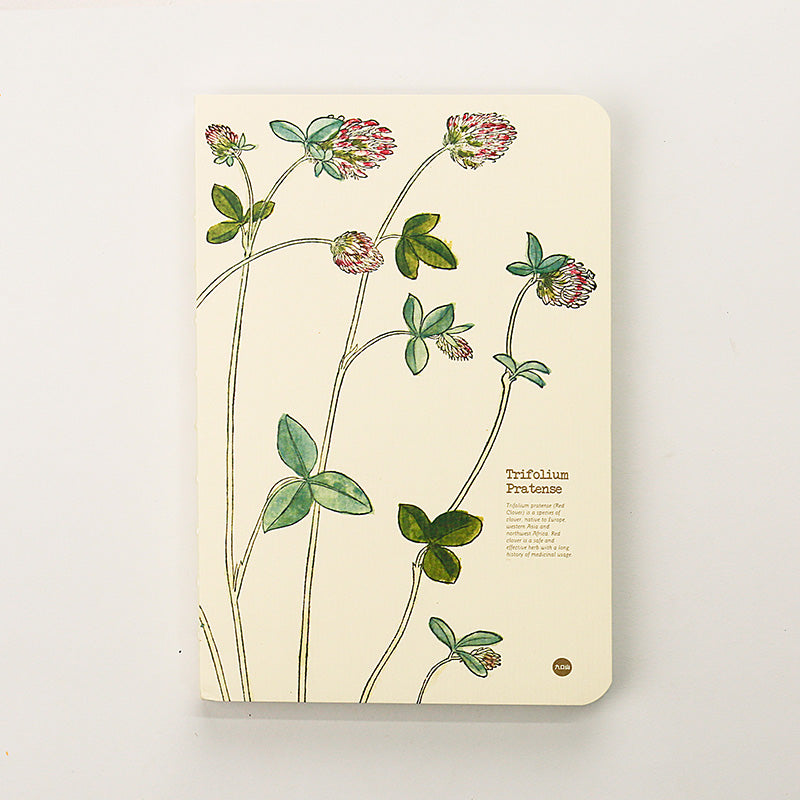 Trifolium Pratense illustrated herb journal baseline product image