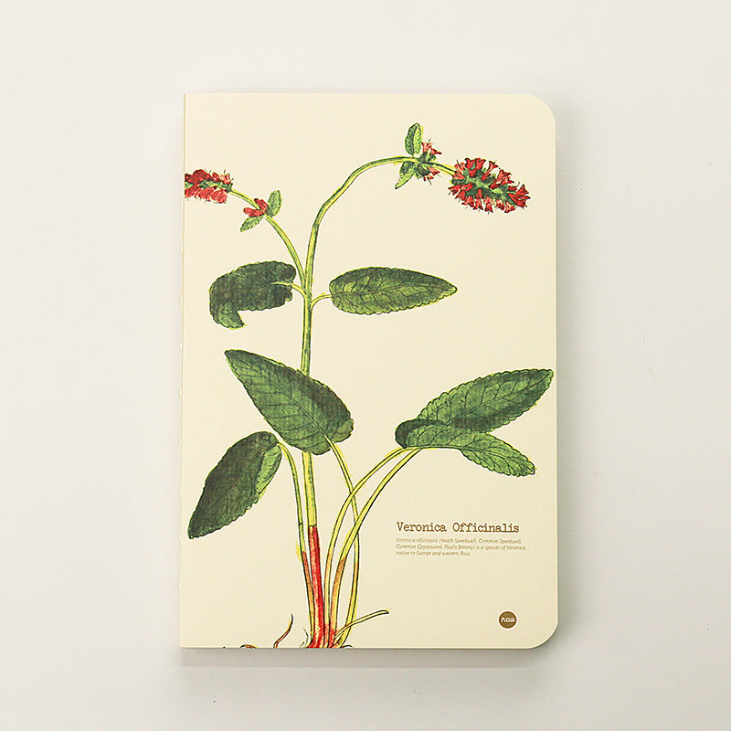 Veronica Officinalis illustrated herb journal baseline product image