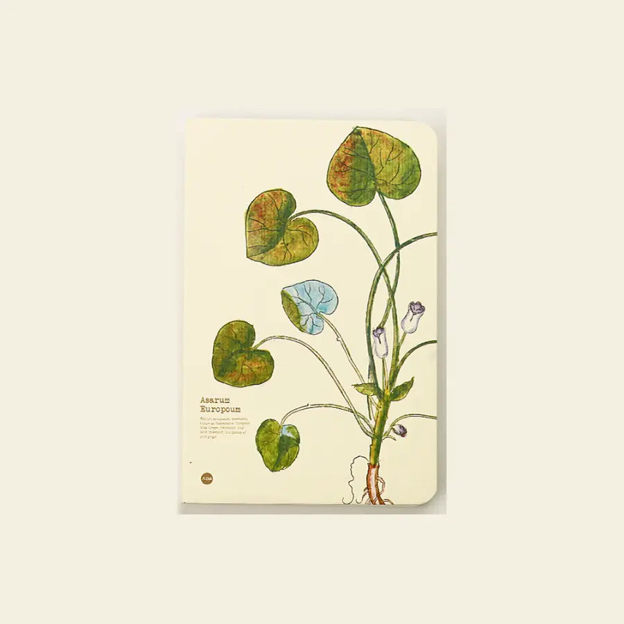 Asarum europaeum notebook