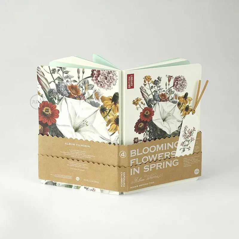Calabrian soapwort notebook