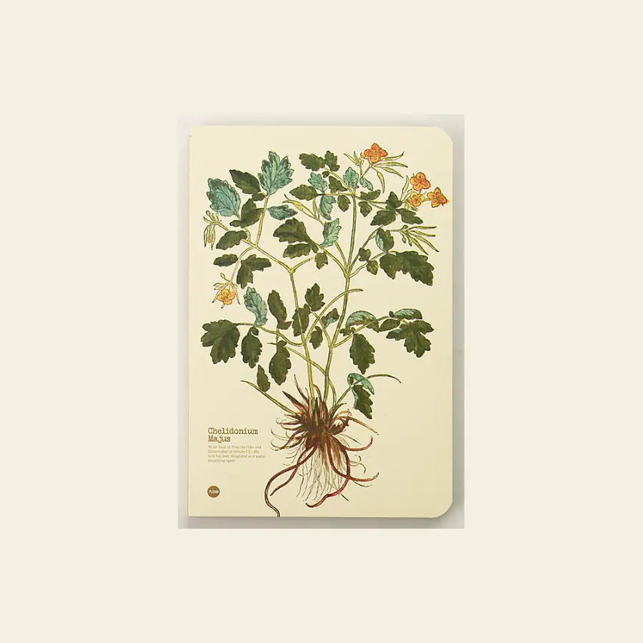 Chelidonium majus notebook