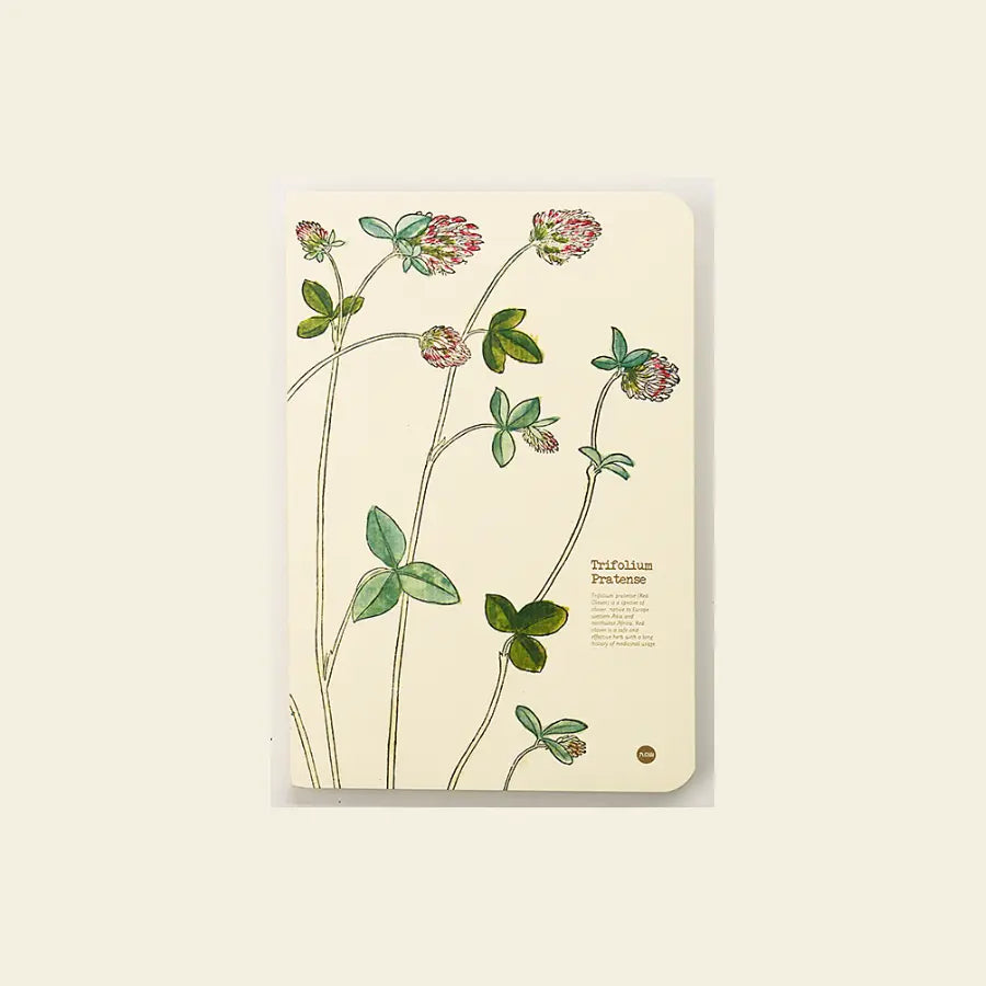 Trifolium pratense notebook